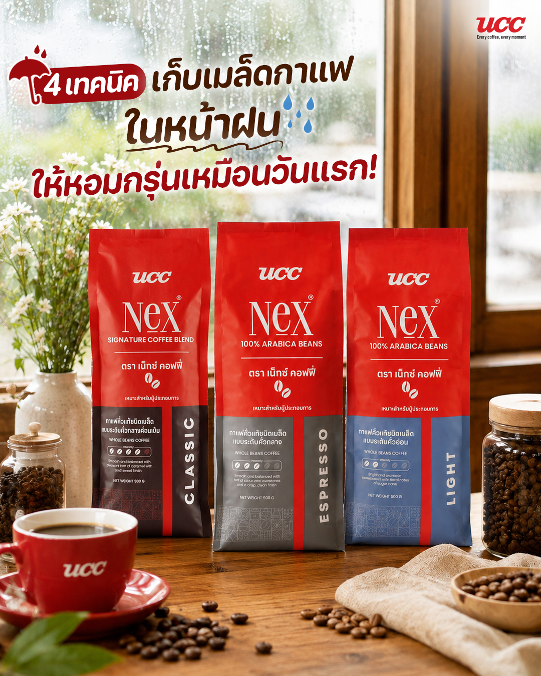 เทคนิคเก็บเมล็ดกาแฟในหน้าฝน ให้หอมกรุ่นด้วย เมล็ดกาแฟคั่ว UCC NEX
